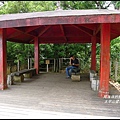 太平山望洋山步道42.JPG