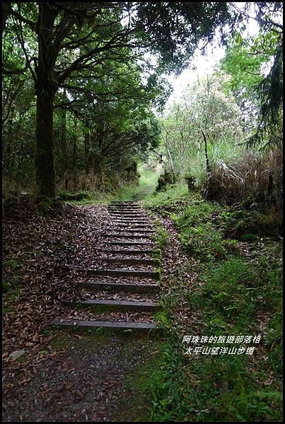 太平山望洋山步道49.JPG