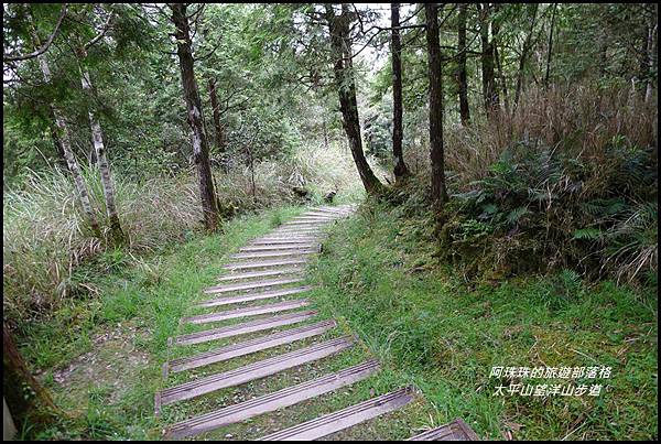 太平山望洋山步道57.JPG 太平山望洋山步道57.JPG