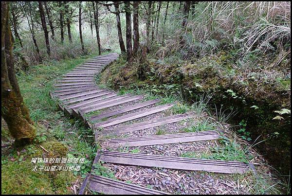 太平山望洋山步道59.JPG 太平山望洋山步道59.JPG