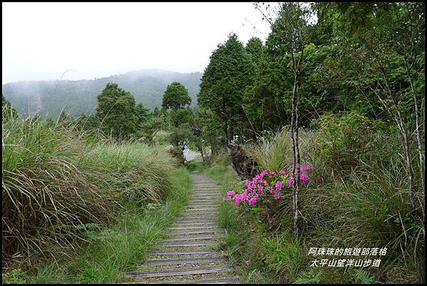 太平山望洋山步道60.JPG