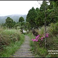 太平山望洋山步道60.JPG