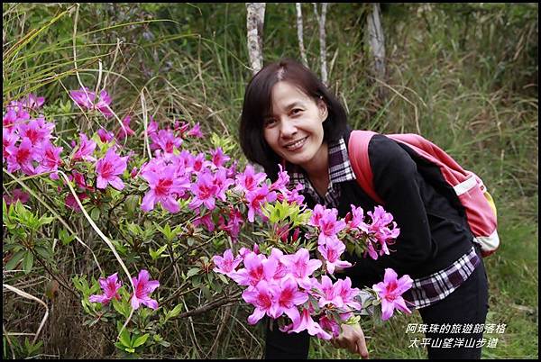 太平山望洋山步道63.JPG 太平山望洋山步道63.JPG