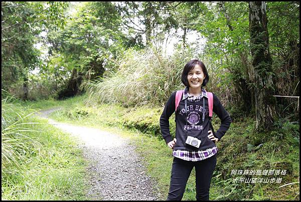 太平山望洋山步道67.JPG 太平山望洋山步道67.JPG