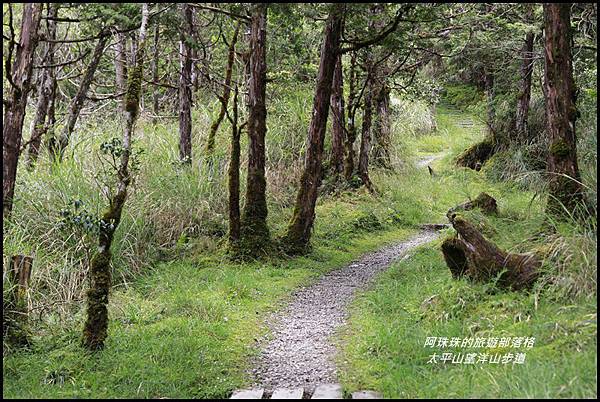 太平山望洋山步道72.JPG 太平山望洋山步道72.JPG