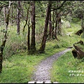 太平山望洋山步道72.JPG