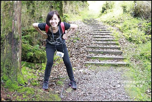 太平山望洋山步道74.JPG 太平山望洋山步道74.JPG