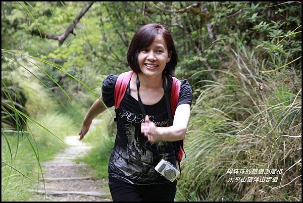 太平山望洋山步道75.JPG 太平山望洋山步道75.JPG