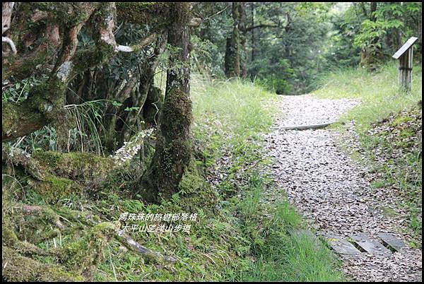 太平山望洋山步道78.JPG 太平山望洋山步道78.JPG