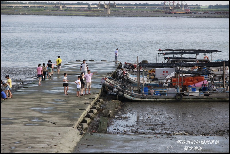 麗水漁港16.JPG