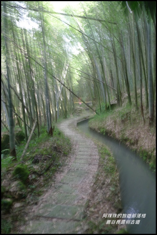 鹿谷長源圳古道14.JPG
