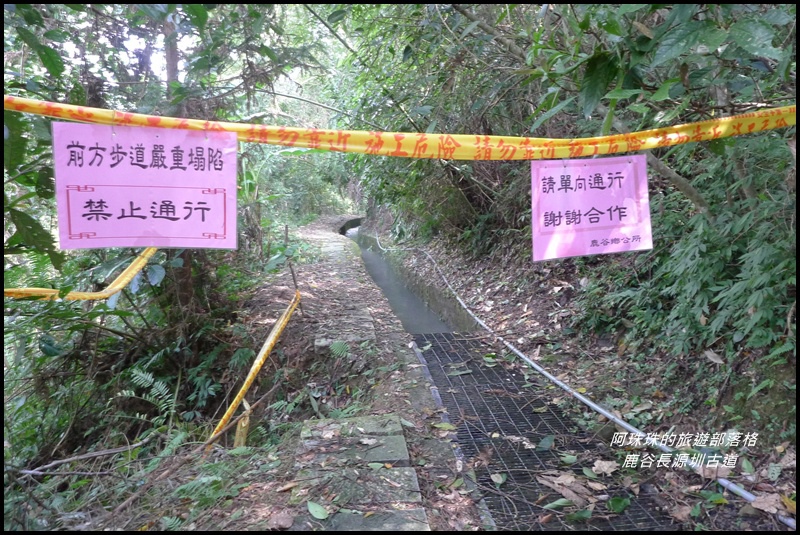 鹿谷長源圳古道17.JPG