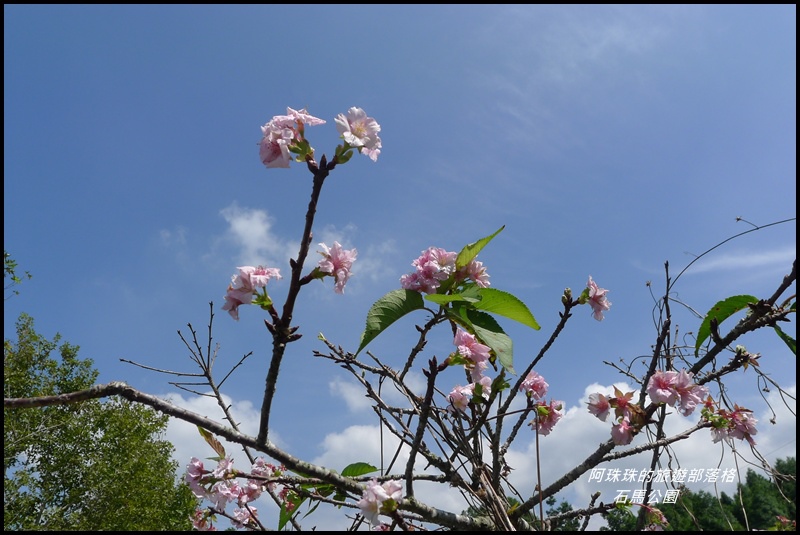 石馬公園1.JPG