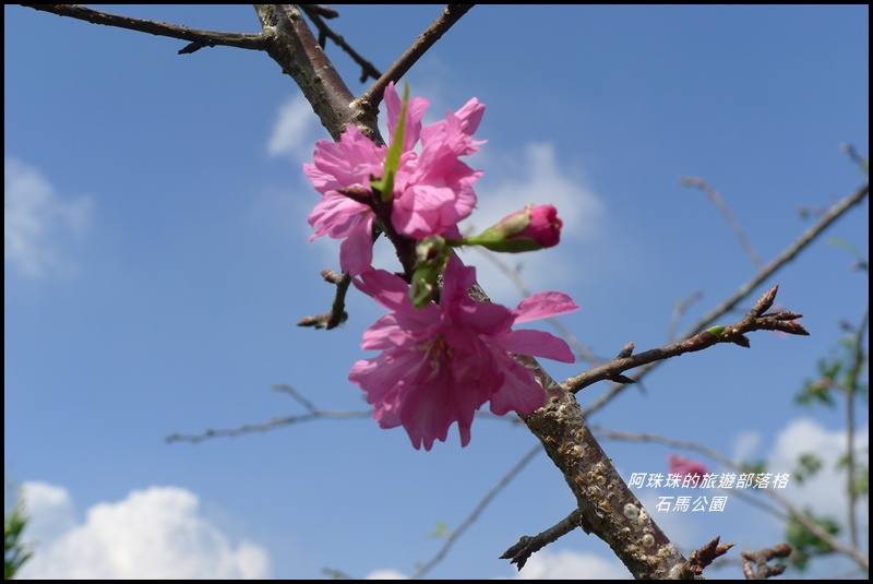 石馬公園11.JPG