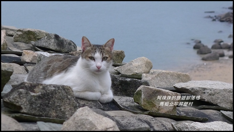 馬祖北竿芹壁村83.JPG