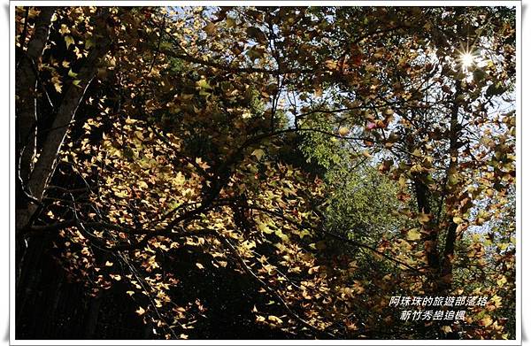 新竹秀巒追楓7.JPG