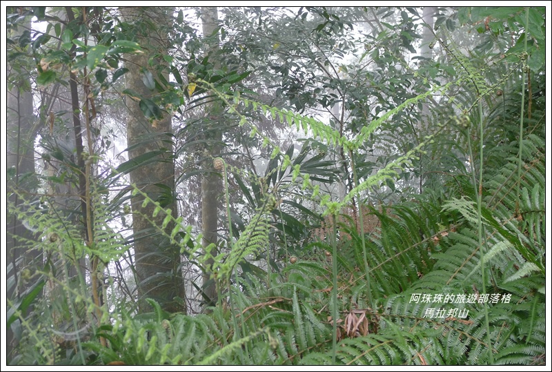 馬拉邦山47.JPG