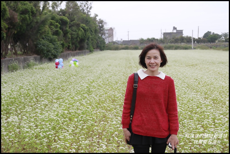 二林蕎麥花海4.JPG