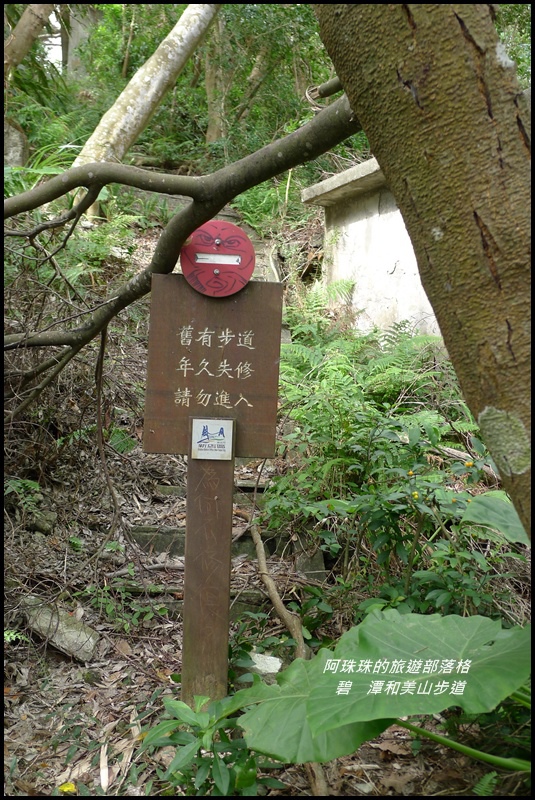 碧潭和美山步道22.JPG