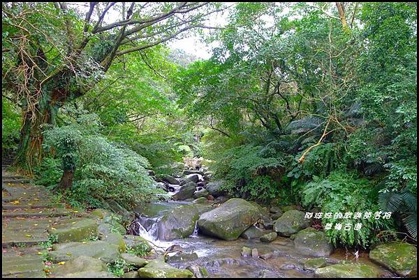 草嶺古道15.JPG