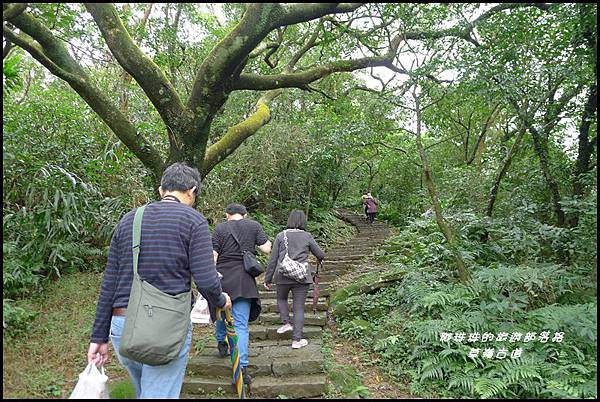 草嶺古道24.JPG