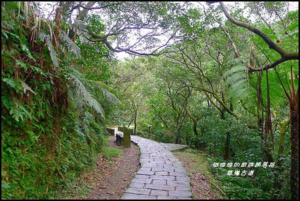 草嶺古道26.JPG 草嶺古道26.JPG