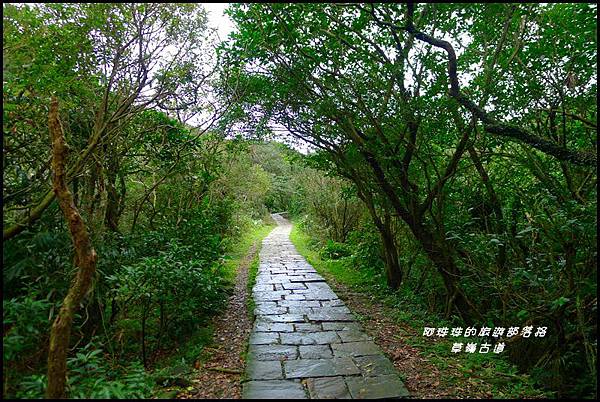 草嶺古道28.JPG 草嶺古道28.JPG