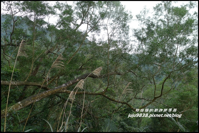 五寮尖10.JPG 五寮尖10.JPG