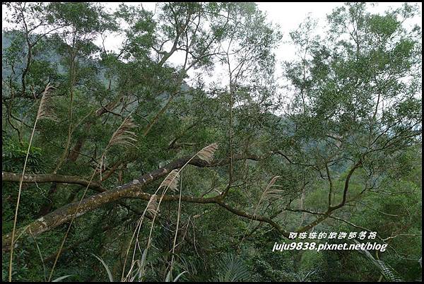 五寮尖10.JPG