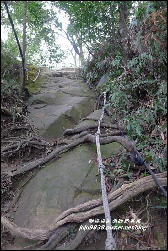 五寮尖14.JPG 五寮尖14.JPG