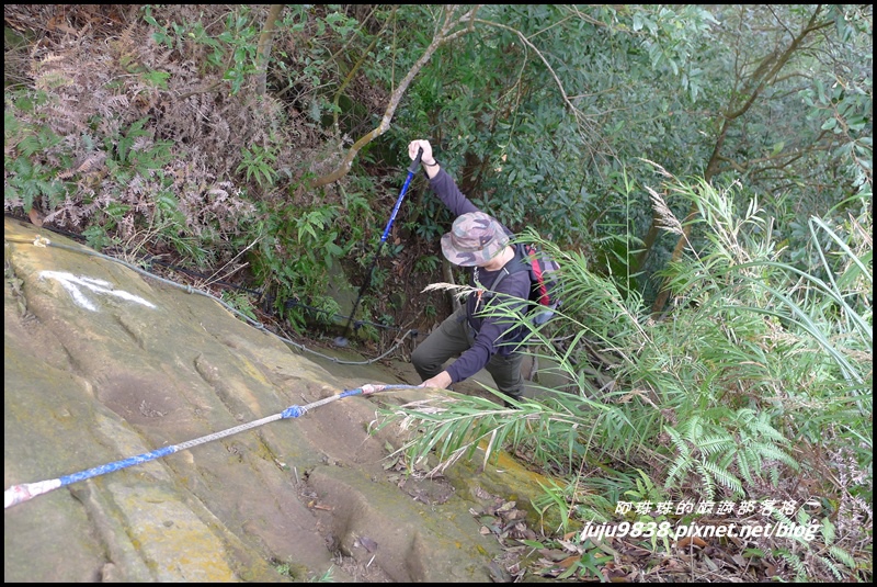五寮尖15.JPG 五寮尖15.JPG