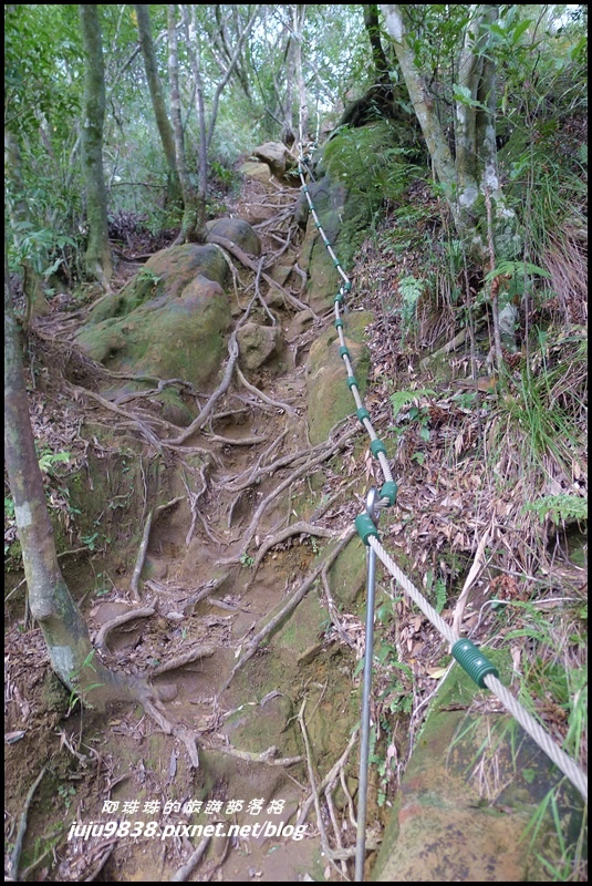 五寮尖24.JPG 五寮尖24.JPG