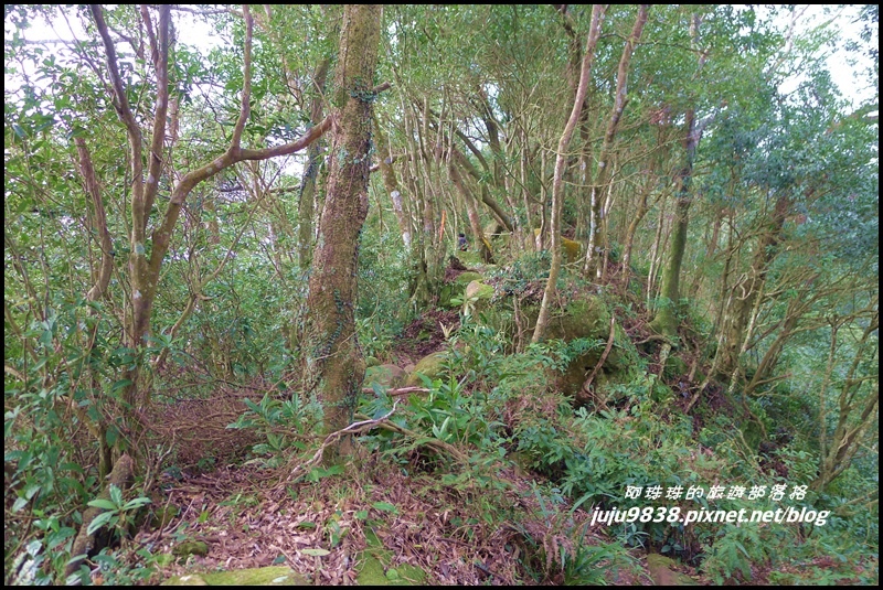 五寮尖23.JPG 五寮尖23.JPG