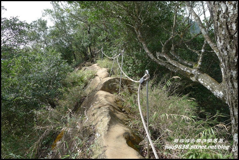 五寮尖34.JPG 五寮尖34.JPG