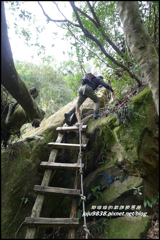 五寮尖49.JPG 五寮尖49.JPG