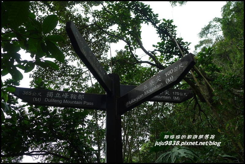 五寮尖50.JPG 五寮尖50.JPG