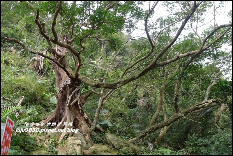 五寮尖51.JPG 五寮尖51.JPG