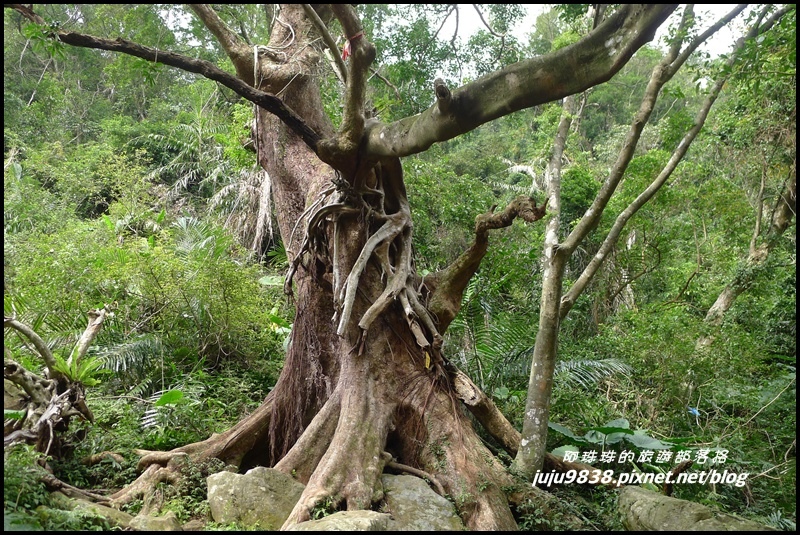 五寮尖52.JPG 五寮尖52.JPG