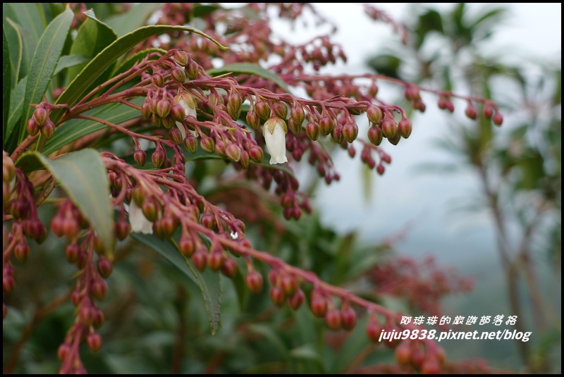 五寮尖56.JPG 五寮尖56.JPG