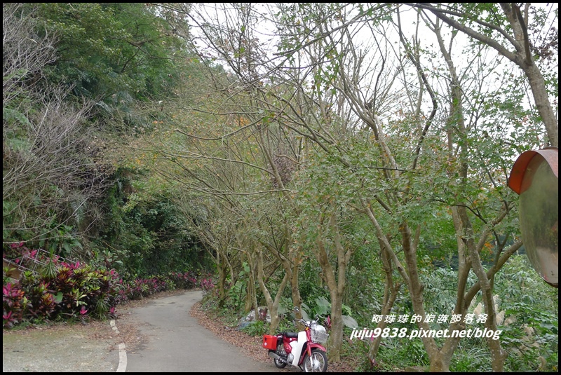 五寮尖61.JPG 五寮尖61.JPG