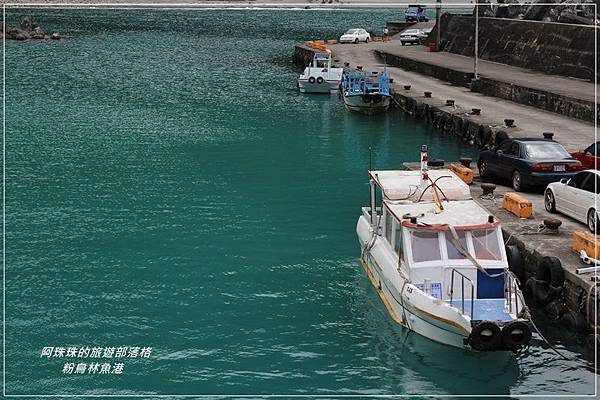 粉鳥林魚港26.JPG