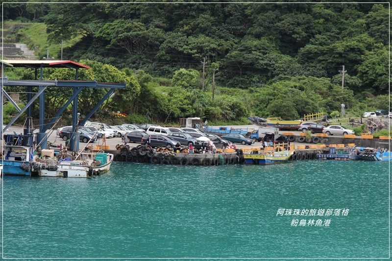 粉鳥林魚港27.JPG