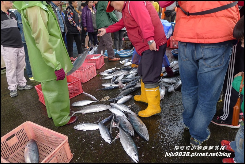 粉鳥林魚港44.JPG