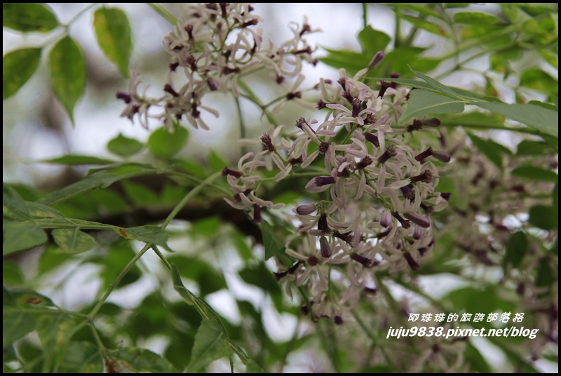 合興車站7.JPG 合興車站7.JPG