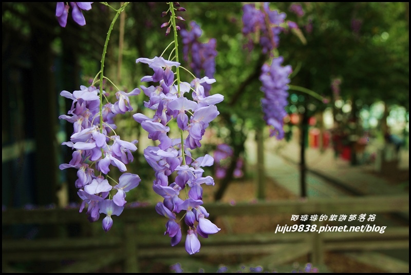 合興車站8.JPG 合興車站8.JPG