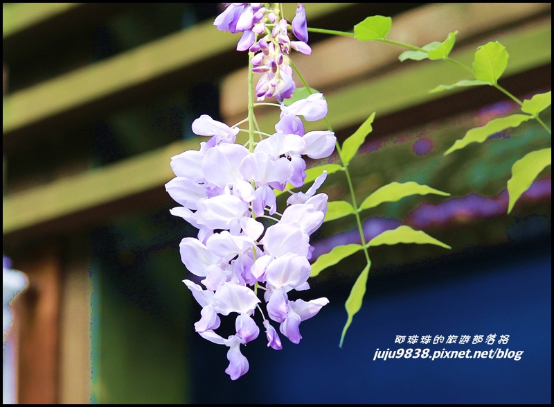 合興車站18.JPG 合興車站18.JPG