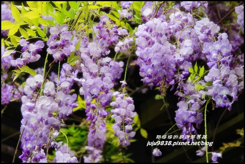 合興車站20.JPG 合興車站20.JPG