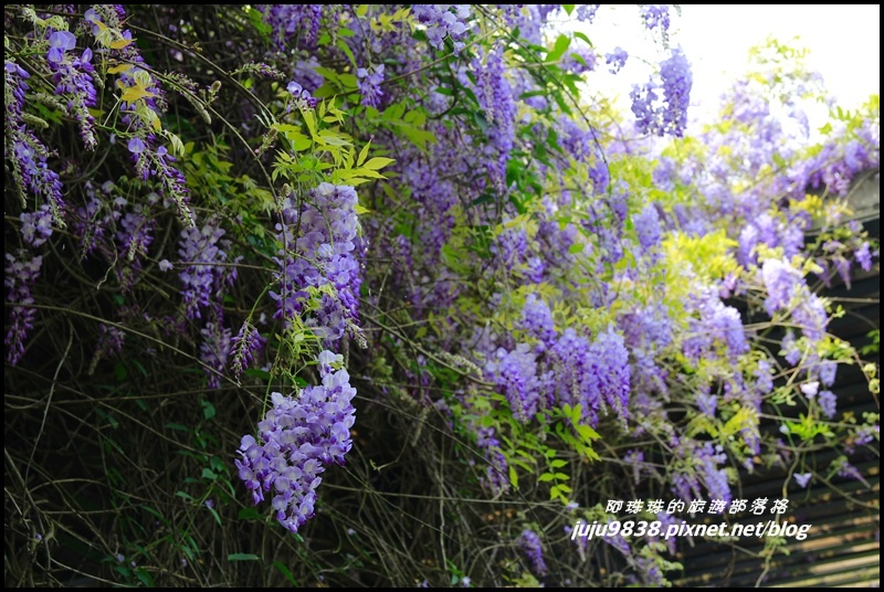 合興車站25.JPG 合興車站25.JPG