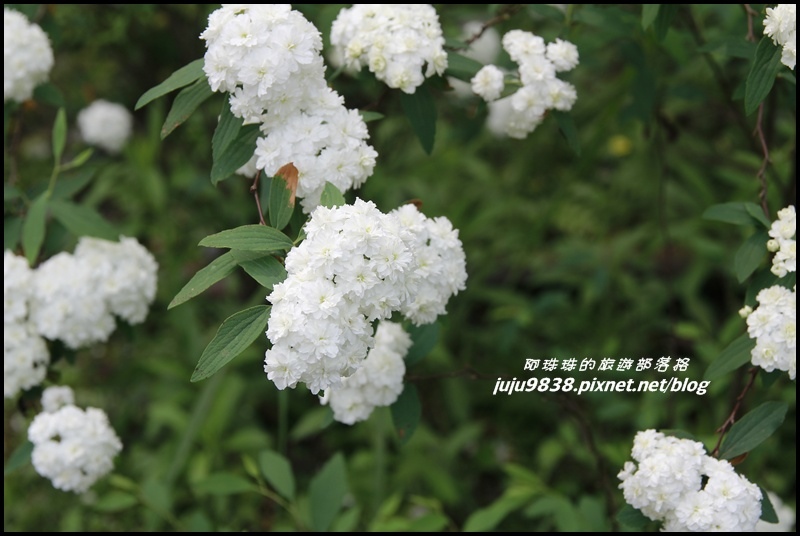 合興車站29.JPG 合興車站29.JPG