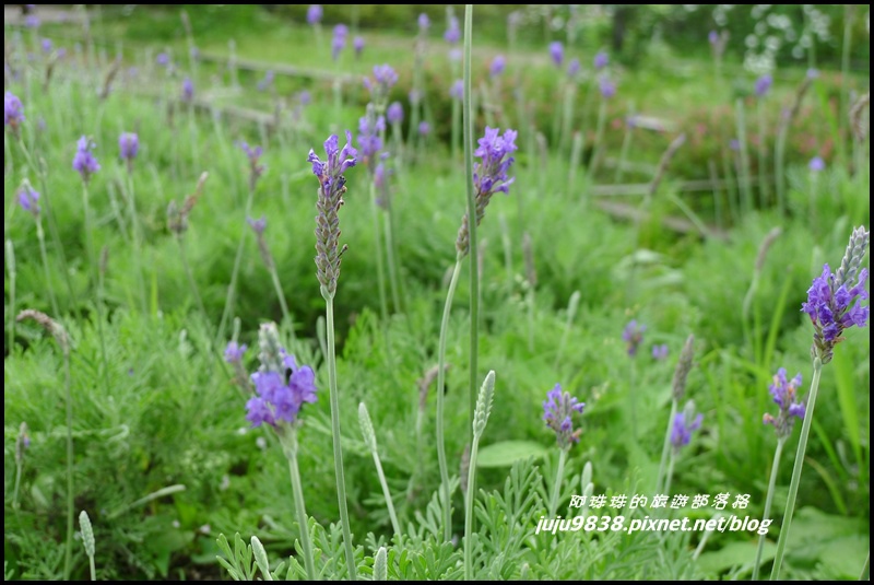 合興車站37.JPG 合興車站37.JPG